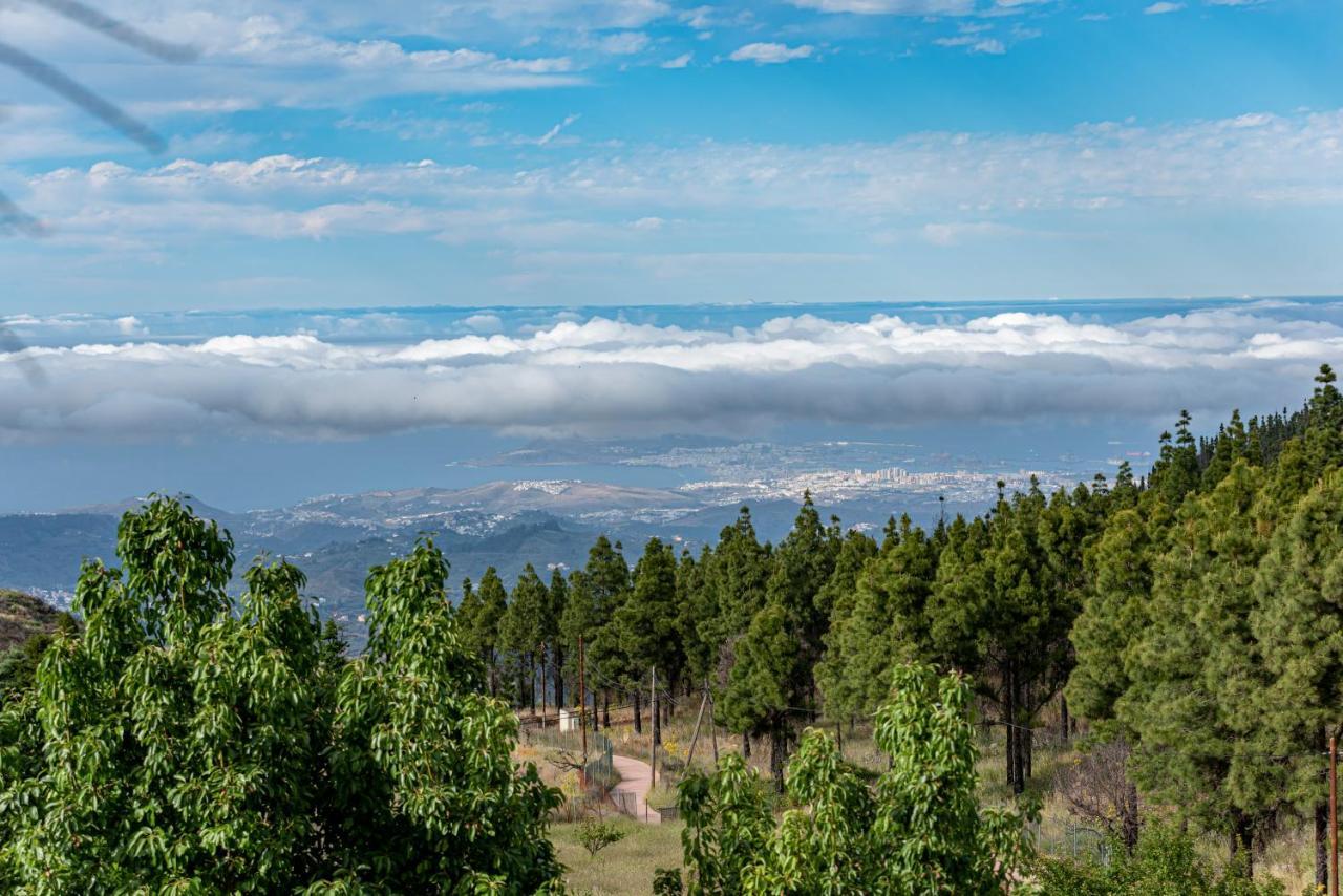 וגה דה סן מטאו Roque Nublo Rural Houses I מראה חיצוני תמונה